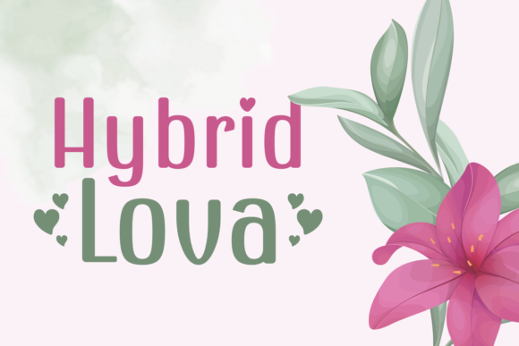Hybrid Lova Font: A Web Designer’s Review